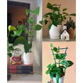 thumbnail image 6 of Vorkoi Indoor 12” x 18” Green Plastic Stackable Trellises (6 Count), 6 of 6