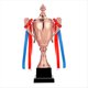 thumbnail image 1 of Copa de Trofeo de Cobre de 11,8 Pulgadas para Competiciones de Reuniones Deportivas, Premios del Equipo de Fútbol y Recuerdos de Fiestas de Competición, 1 of 7
