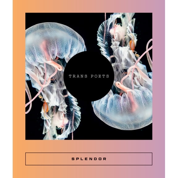 Calico Splendor: Trans Poets, Book 14, (Paperback)