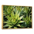 thumbnail image 2 of Designart "Wonderfully Golden Harvest Of Pineapples" Pineapples Floater Framed Wall Decor, 2 of 5