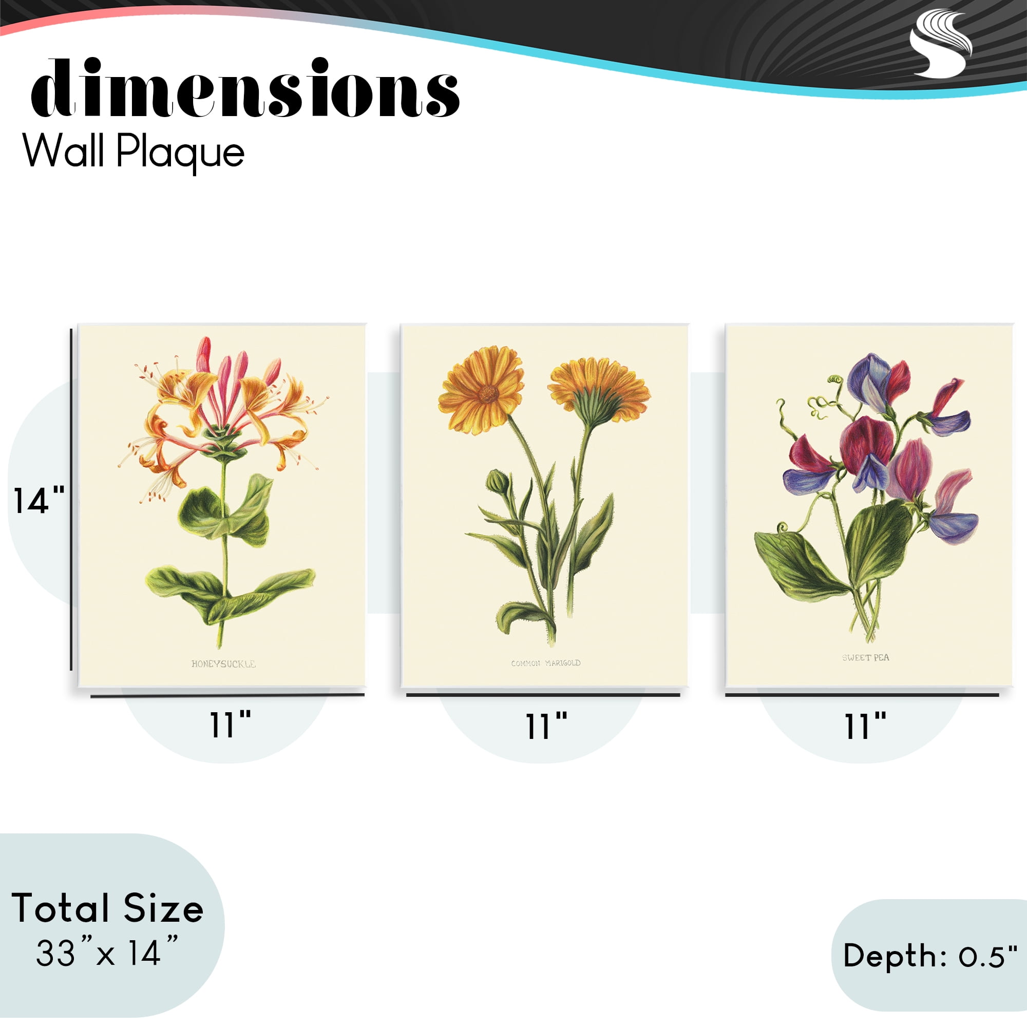 Stupell Industries Flowering Plants Vintage Illustration 3 Piece Wall Plaque Art Set, design by Connie Resch