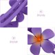 thumbnail image 3 of YSNOOWE 4Ud Clips Para El Con Plumeria En Colores Surtidos Para Uso Diario Y Eventos, 3 of 7