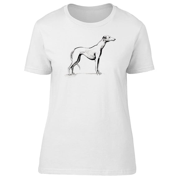 Greyhound B&W Sketch T-Shirt Women -Image by Shutterstock, Female XX-Large