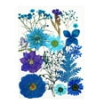 thumbnail image 1 of AMLESO Dried Pressed Dry Leaves Bulk Kit for Stickers Making Crafts Blue, 1 of 8