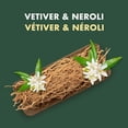 thumbnail image 3 of SheaMoisture Vetiver & Neroli Refreshing Shampoo, 3 of 9