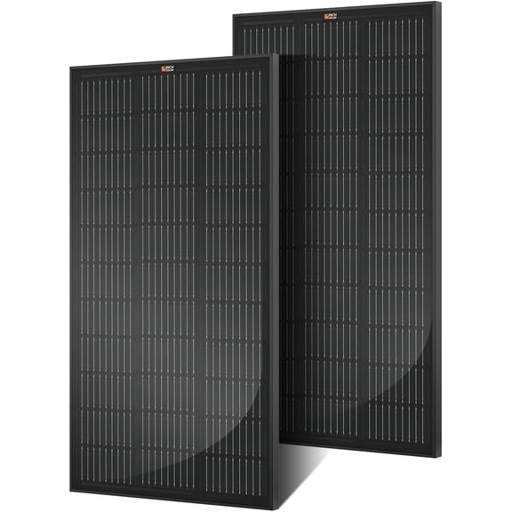 RICH SOLAR Premium 2 Pack of 100 Watt 12  Monocrystalline Solar Panel All Black