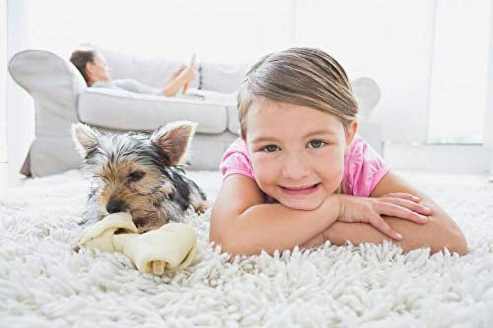 Capture pet cheap stain remover