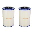thumbnail image 1 of Pleatco Cartouche de Filtre de Remplacement PCD50N pour Piscines et Spas Caldera 50 (2 Pack), 1 of 5