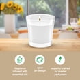 thumbnail image 6 of Glade® Jar Candle, Lush Greens & Water Lotus, 4.08oz., 2 Count, 6 of 10