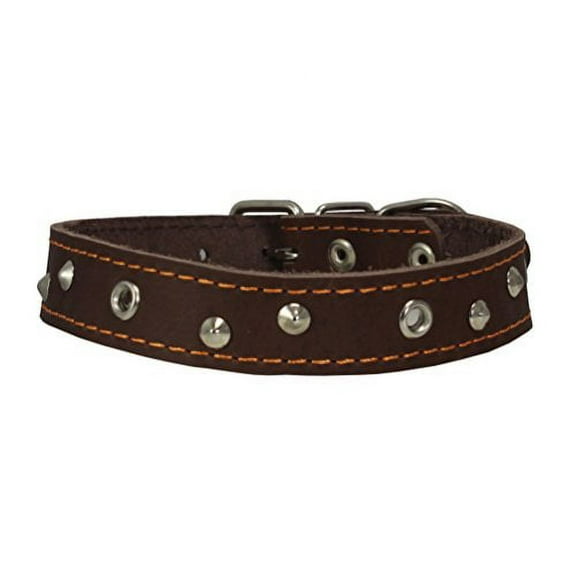 Genuine Leather Studded Dog Collar, Brown, 1" Wide. Fits 13"-17.5" Neck Size