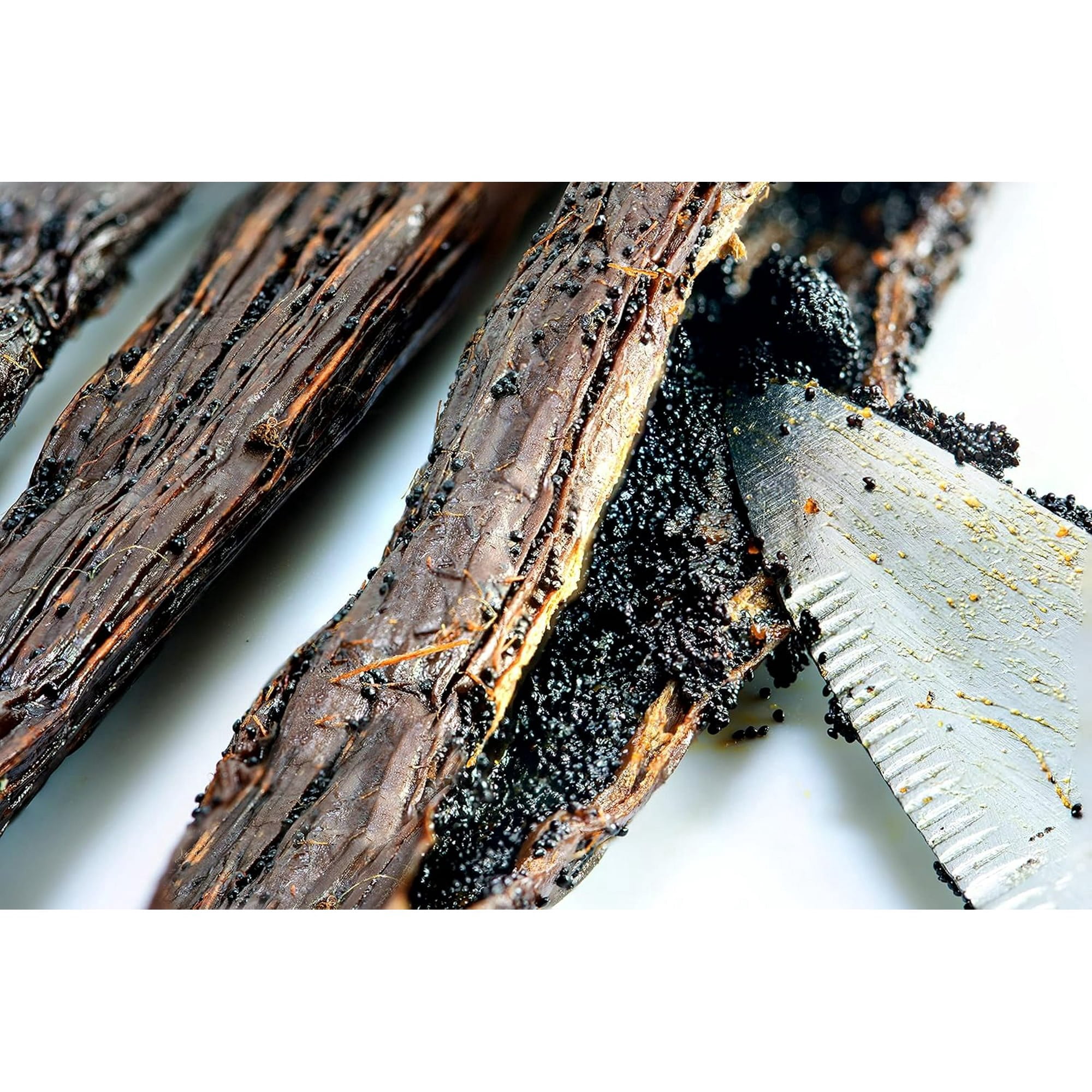 Organic Vanilla Extract - Made with Madagascar Vanilla Beans – For Baking, Desserts, Home Cooking and Chefs - 10 GALLONS
