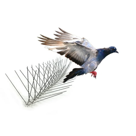 Bird-X Extra-Wide Stainless Steel Bird Spikes, 10 feet 8