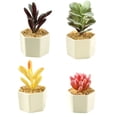 thumbnail image 1 of Uds. De suculentas de simulación, flores bonsái, decoración creativa para el hogar, plantas verdes artificiales, 1 of 5