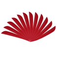 thumbnail image 3 of pitrice 12 Pieces Archery Hunting Arrow Feather Fletching Right Wing Fletches 4 inch Red, 3 of 9