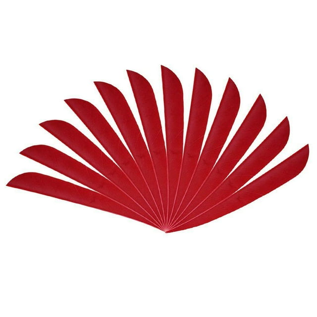 Xingzhi 12 Pcs Flèches de Chasse à l'Arc Plumes Aile Droite 4 Pouces Rouge
