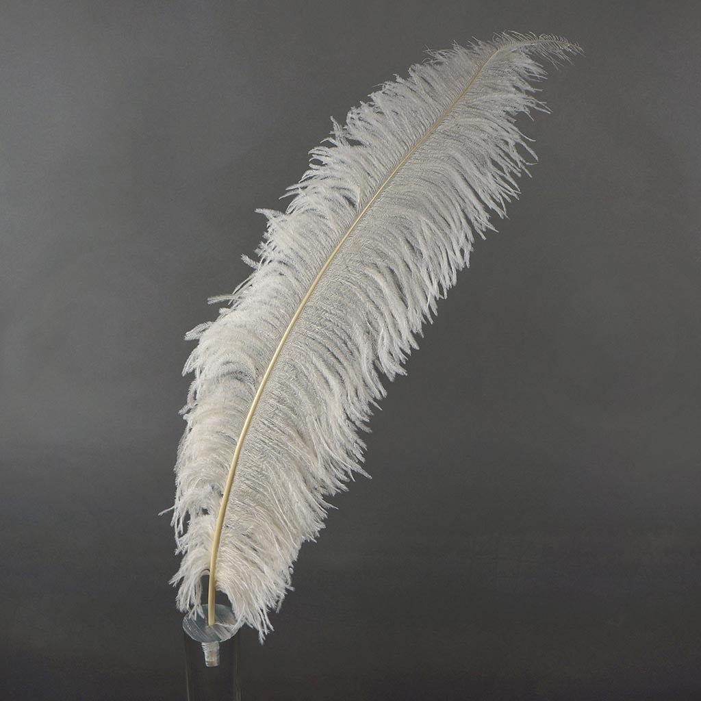ivory ostrich feathers