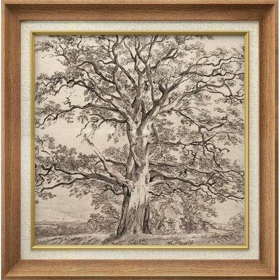 IDEA4WALL Premium Frame Wall Art Forest Tree Sketches Sepia Duotone Wilderness Nature Vintage Landscape Print Antique Fine Art Retro Historic Wall Decor for Living Room, Office - 26"x26" Natural