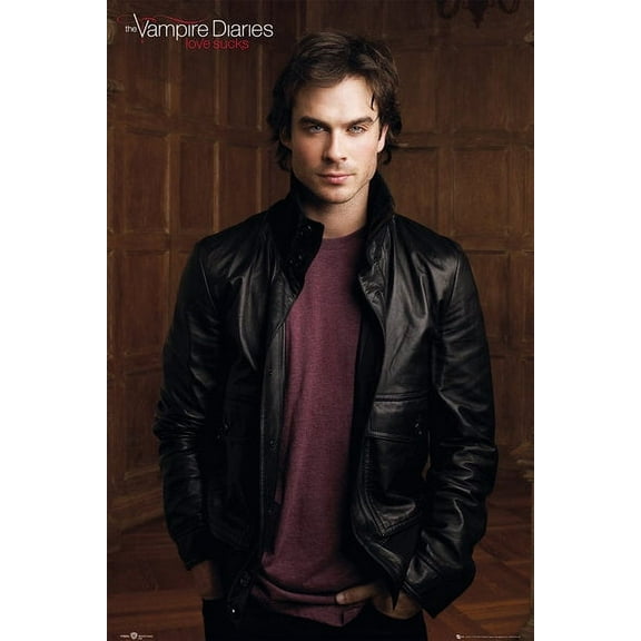 Rolled Poster The Vampire Diaries Damon 24” x 36” Poster