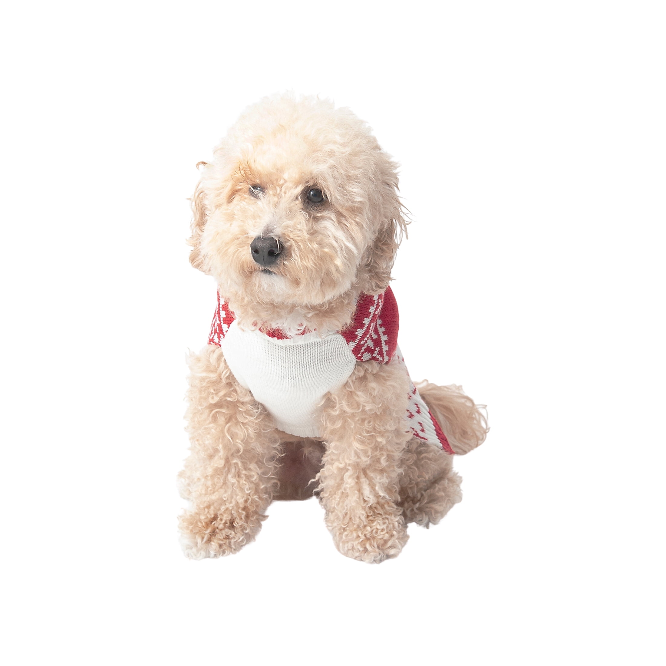 Vibrant Life Holiday Dog and Cat Clothes Red Merry & Bright Sweater, Extra Small