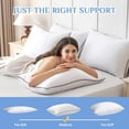thumbnail image 4 of Almohadas JOLLYVOGUE tamaño Queen, set de 2, alternativa al plumón, 4 of 8