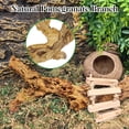 thumbnail image 6 of 2PCS Reptile Wood Branches, Snake Climbing Branch Natural Bearded Dragon Log Tank Accessories Tree Trunk for Chameleon Gecko Snake Frog Spider, 6 of 8