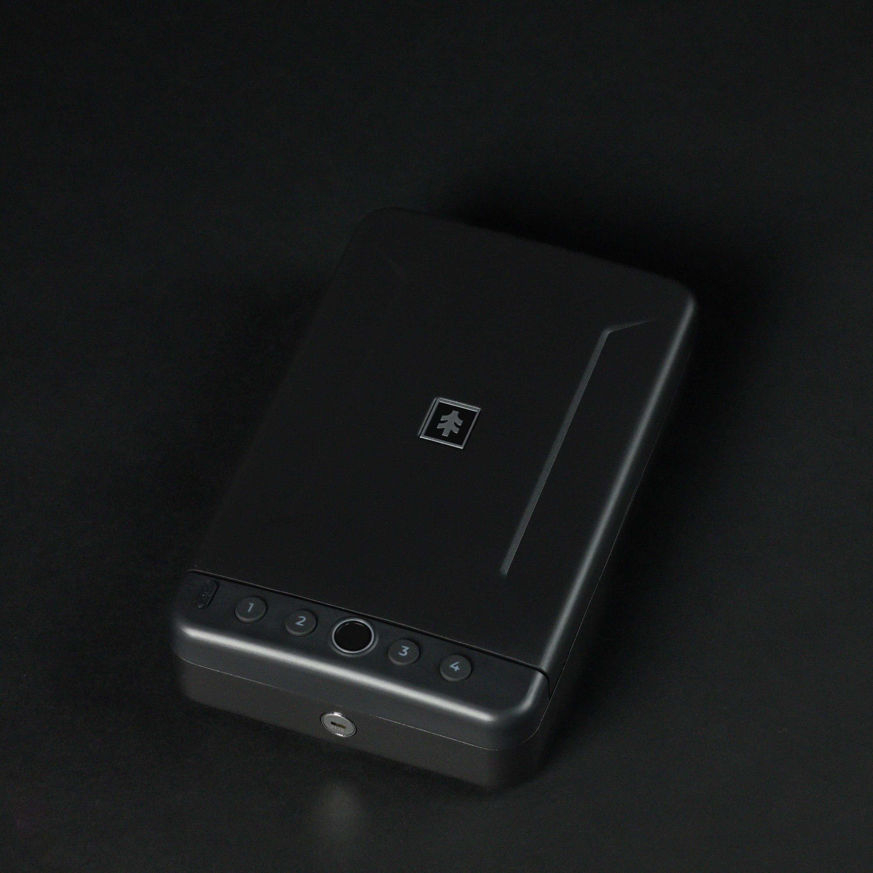 Swiss Tech Wächter 100 Portable Biometric Safe with Fingerprint, USB-C & Steel Cable