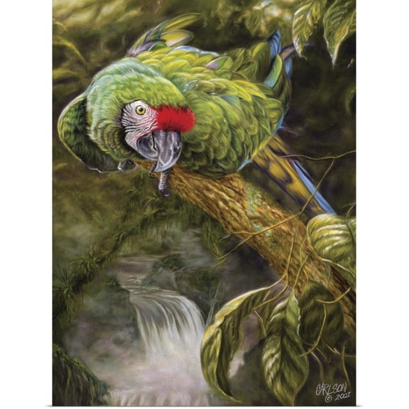 Great BIG Canvas | Rolled Cory Carlson Poster Print entitled Shades Of Green