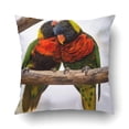 thumbnail image 1 of RYLABLUE Two Parrots Or Love Birds In Kiss Each Other While Perched On A Tree Pillowcase Pillow Cushion Cover 16x16 inch, 1 of 1