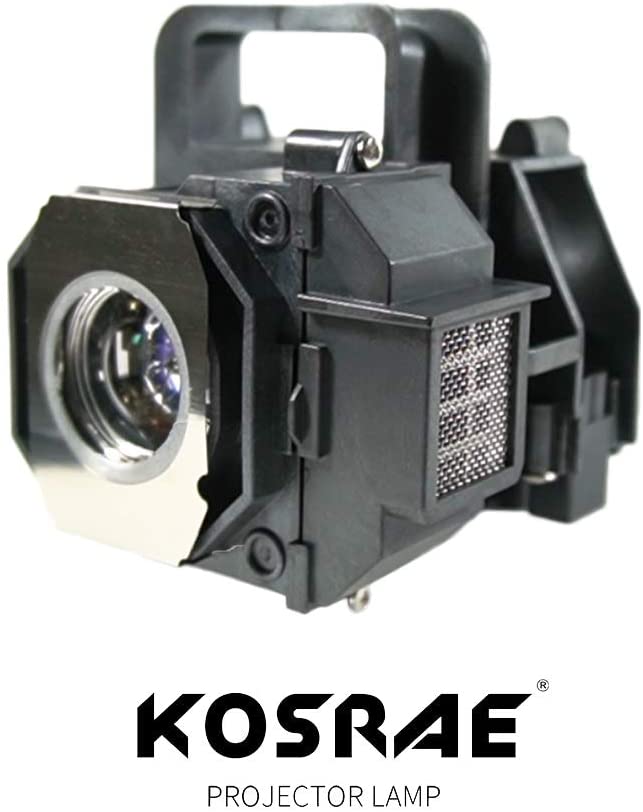 V13H010L49 Replacement Lamp Bulb for 