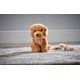 thumbnail image 2 of Animal de peluche Living Nature Golden Retriever de 20 cm, regalo para niños, 2 of 7