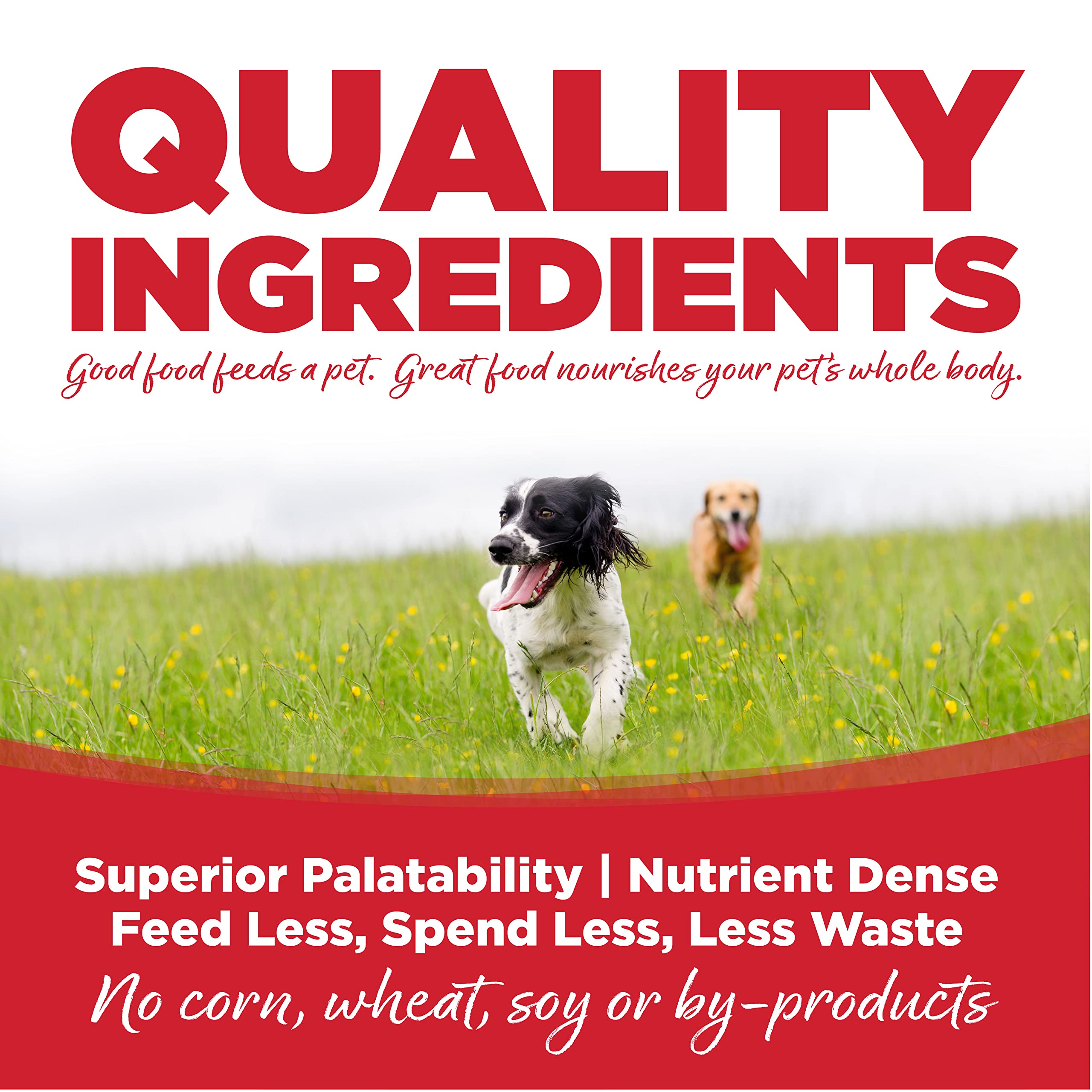 NutriSource Large Breed For All Life Stages Beef & Rice Recipe Dog Food 26 lb