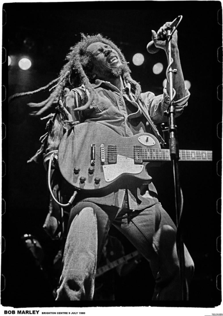 Pictures Of Marley