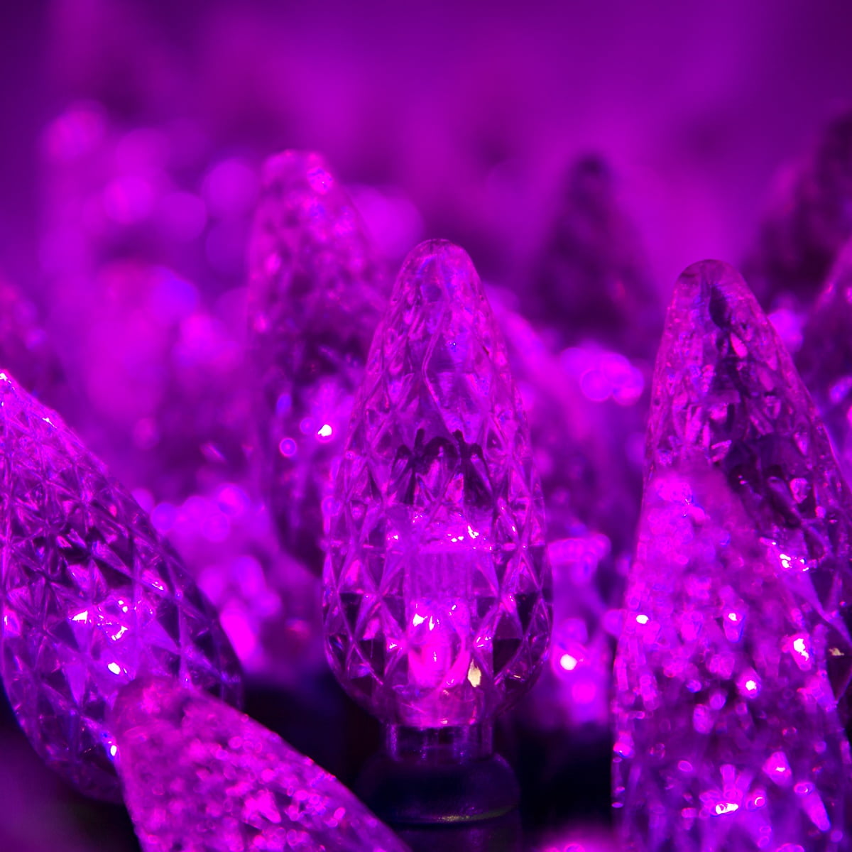Purple Christmas Lights 