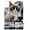 Premium Poster & Push Pin Bundle, variant on Grumpy Cat - Shut Up Wall Poster, 22.375" x 34", Framed