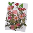 thumbnail image 1 of 25 piezas de hermosas flores secas y prensadas naturales., 1 of 9