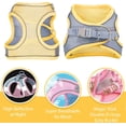 thumbnail image 6 of Soft Small Dog Harness and Leash Set Mesh Puppy Harnesses Leash Easy Walk Dog Harness Vest Adjustable Reflective No Pull Dog Harnesses for Small Dogs Cats, 6 of 7