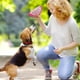 thumbnail image 3 of Juguete interactivo para perros con forma, que se muerde y chirría, para la salud, duradero, 3 of 4
