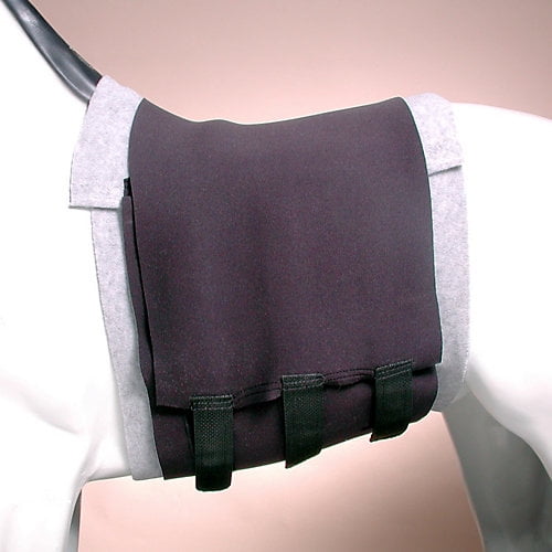 Tough1 Miniature Horse Neoprene Belly Sweat