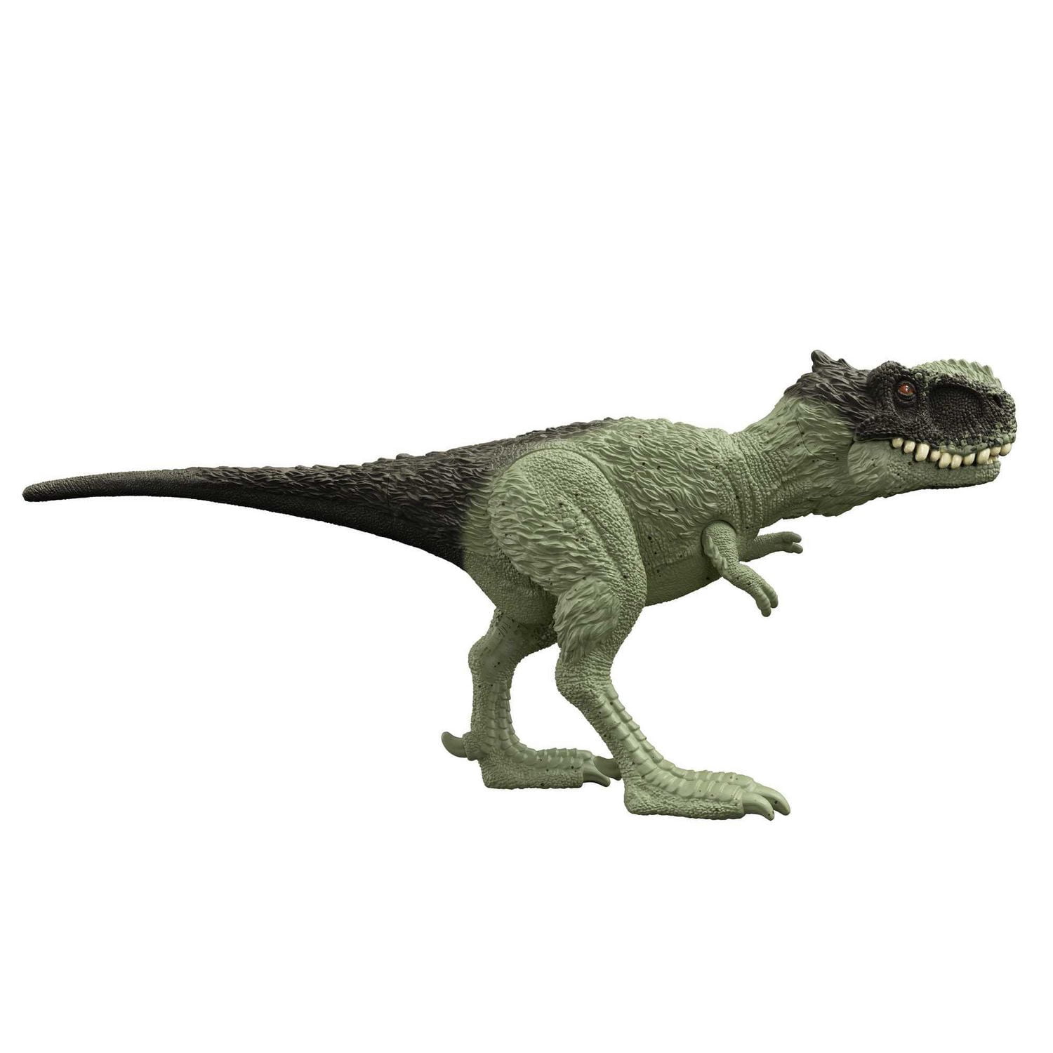 Jurassic World Meute féroce Rugops Primus Figurine articulée de dinosaure