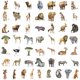 thumbnail image 3 of Pegatinas de vinilo impermeable con forma de acuarela con forma de animal africano, 50 unidades, 3 of 3
