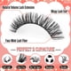 thumbnail image 5 of Eyelash Clusters Calphdiar Wispy Lash Lash 30 D+40 D+50 D+60 D 480 unidades, 5 of 7