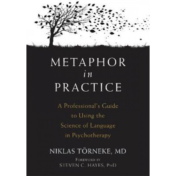 Metaphor in Practice: A Professional's Guide to Using the Science of Language in Psychotherapy