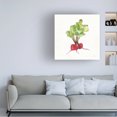 thumbnail image 3 of Anne Tavoletti 'Veggie Market II Radish' Canvas Art, 3 of 3