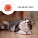 thumbnail image 3 of Silicone Puppy Feeding Tool for Milk Feeding with 4 Nipples Set, 3 of 5