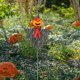 thumbnail image 5 of Espantapájaros Halloween Jack Lantern FLhrweasw para Jardín, 5 of 9