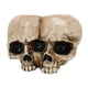 thumbnail image 2 of Jardinera de resina Cola Doble Jardinera de calaveras, 2 of 8