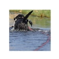 thumbnail image 3 of Avery Outdoors 30' Floating Check Cord, 3 of 3