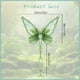 thumbnail image 3 of Elven Butterflys Wing Thin Cicada-Wing Wing Set Festival Party Performance Props, 3 of 7