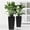 04 + Black + 2pcs/carton+2, variant on Set of 2 22 Inch Faux Rattan Tall Planters Outdoor Indoor Automatic Watering Flower Pots with Water Level Monitor White