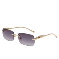 thumbnail image 2 of Gafas De Sol Rectangulares Sin Montura Retro Guepardo Decoración Transparente Océano Lente Para Hombres UV400, 2 of 4